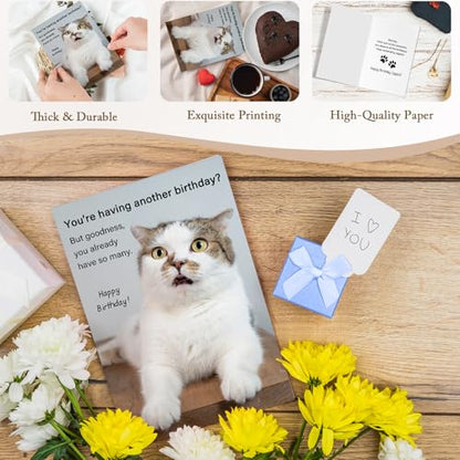 Qiliji Hilarious Cat Birthday Card for Him Her, Lovely Happy Birthday Card for Cat Lover, Funny Cats Mom or Cats Dad Bday Cards - color: Cat Birthday