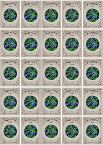 Black Duck Brand Set of 25 Packs of Forget-Me-Not Flower Seed Packets! Flower Seeds in Bulk - Great for Creating The Garden of Your Dreams! (25, Forget-Me-Not Blue) - color: Forget-Me-Not Blue