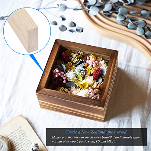1DOT2 5x5 Small Shadow Box Frame Display Case, Carbonized Black | Grade A Pine Wood, HD Glass Front, Soft Linen Back, 1.2 Inch Depth, MDF Backboard, For Pet Flower Photos, Carbonized Black - color: Carbonized Black, size: 5x5
