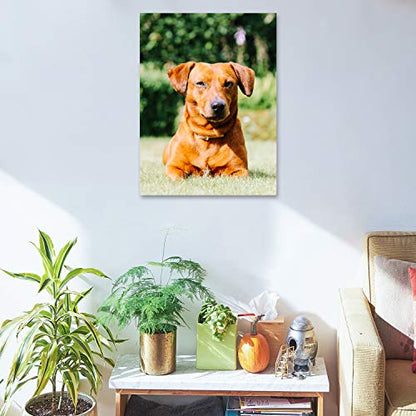 Personalized Photo to Canvas Print - Canvas Prints With Your Photos on Custom Wall Art for Bedroom, Living Room, Wedding Baby Pet Family Picture Framed Wall Art (12" W x 16" H) - size: 12"L x 16"W