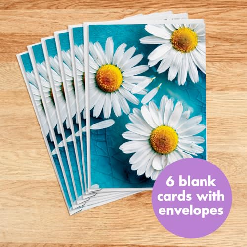 Designer Greetings For Your Words, Blank Cards 6 Pack | Daises, Boxed Card Set, Matching Envelopes - color: Daisies
