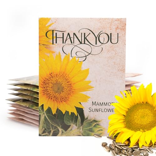 Bentley Thank You Packet - Sunflower Seeds - Pack of 25 - Perfect Eco-Friendly Thank You Gift - Non GMO - style: Thank You Sunflower
