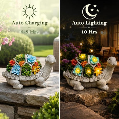Nacome Solar Garden Outdoor Statues Turtle with Succulent - color: Grey Turtle