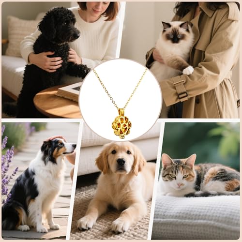 Paw Print Heart Pet Ashes Memorial Necklace with Mini Inner Box-Gold | Pet Cremation Jewelry for Ashes, Cremation Urn Jewelry to Hold Dog & Cat Ashes Pendant with Box Filling Tools - color: Gold