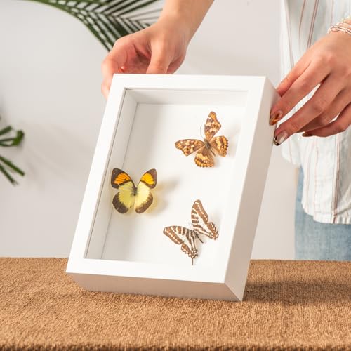 5x7 Small Shadow Box Frame with Ultra-Clear Glass & Soft Linen Back - color: White+high Definition Panel + Shatter-proof Packaging, size: 5x7