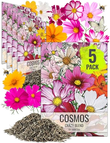 Seed Needs Flower Seeds Cosmos Original Crazy Mix (5 Bulk Packs) - size: 5 Packs, style: Crazy Cosmos Mix