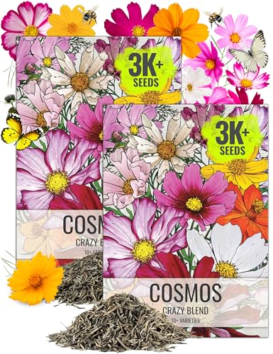 Seed Needs Flower Seeds Cosmos Original Crazy Mix (2 Bulk Packs) - size: 2 Packs, style: Crazy Cosmos Mix