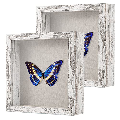 2 Packs 8x8 Shadow Box Frame with Linen Back - Sturdy Rustic Memory Display Case of Flower, Pictures, Medals and More, Distressed White - color: Distressed White, size: 8x8 2P