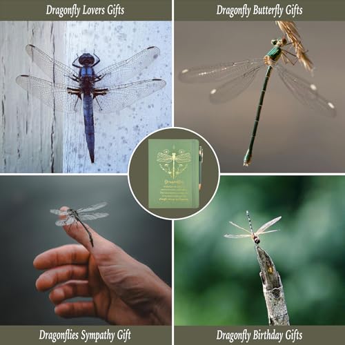 Dragonfly Gifts Women, Inspirational Encouragement Dragonfly Gift Ideas | Hardcover Notebook Gold Foil 200 Pages A5 Lined, Dragonfly Themed Gift for Dragonfly Lover Friend Birthday Holiday Christmas - color: Sage Green