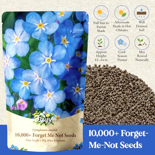10,000+ Forget-Me-Not Seeds, Blue Cynoglossum amabile Flower for Planting - color: BLUE