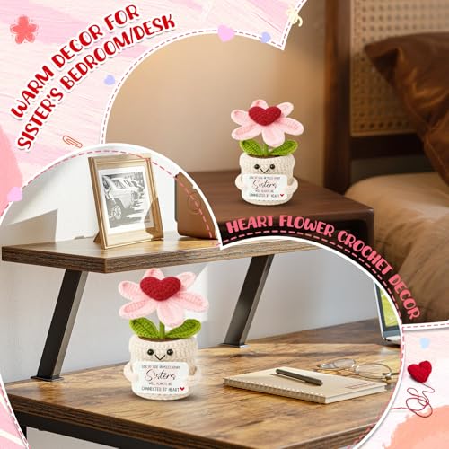 Good Bye Gifts for Women Sisters - Crochet Heart Flower Plant - Birthday Gifts for Sis Soul Sissies BFF Bestie Best Friends Work Sister - Long Distance Relationship Keepsake - color: Sisters1