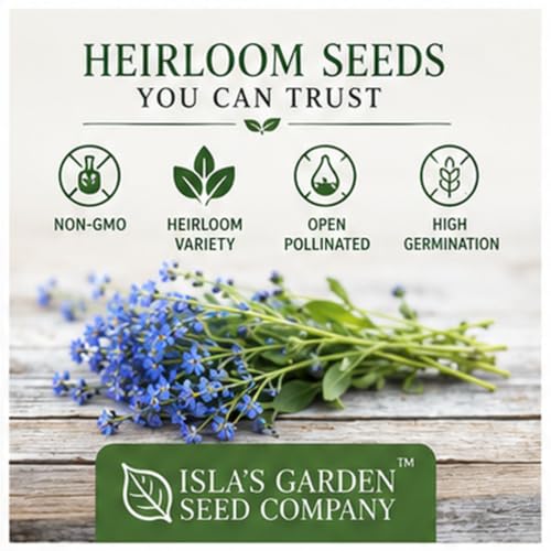 Chinese Forget-Me-Not Flower Seeds for Planting – 300+ Non-GMO & Heirloom Seeds, (Cynoglossum amabile), Blue Blooms for Pollinator Gardens, by Isla’s Garden Seeds, Great Gardening Gift