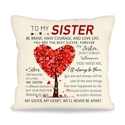 Sister Gift for Women Sister Elephant Decorative Throw Pillow Cover Presents for Soul Sister Best Friend Birthday Chirstmas Friendship Gift Inspirational Quote Keepsake 18x18 Inch (To My Sister)