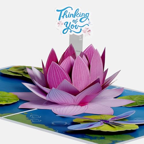 iGifts And Cards Pink Lotus Flower 3D Pop-Up Card – Serene Wishes 6"x8" | Thinking Of You, Get Well, Sympathy, Meditation Theme, Friend, Teacher, Nature Lover, Spiritual Seeker Keepsake, Notecard - color: Pink Lotus