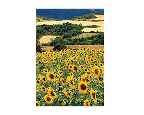 Funeral Memorial Prayer Cards Sunflower field