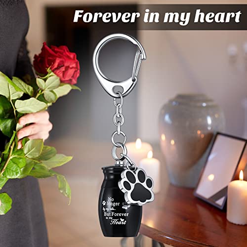 Tudomro Cremation Pet Dog Urns Keychain for Ashes with Storage Bag Stainless Steel Small Cat Paw Memorial Keepsake Jewelry - color: Black