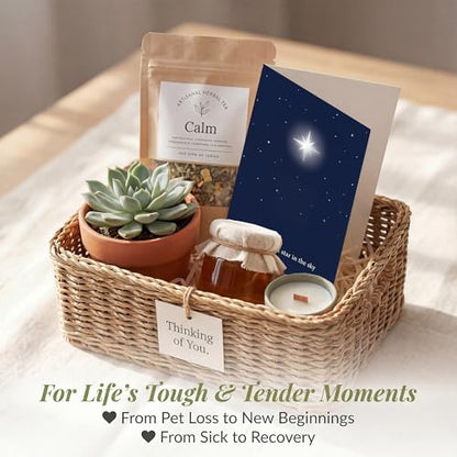 Pet Sympathy Card, The Brightest Star - color: Sympathy Card 019