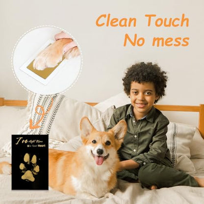 DeerZone Inkless Paw Print Kit,Dog Paw Print Kit,Dog Nose Print Kit - color: Gold/Black, size: Small-Medium 4 Pack