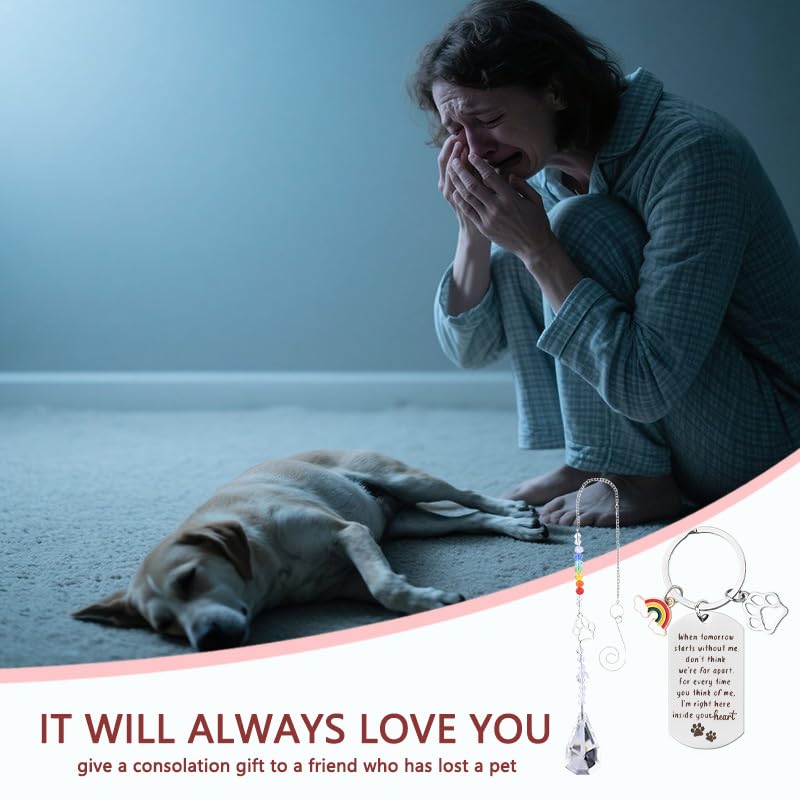 Sisadodo Rainbow Bridge Dog Memorial Gifts for Loss of Dogs Cats Rainbow Bridge Bracelet Keychains Paw Crystal Sun Catcher - color: Keychian and Crystal Suncatcher
