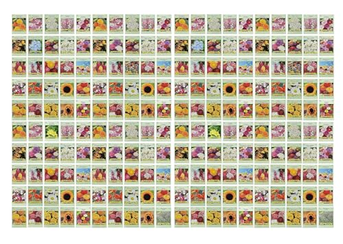 Set of 200 Assorted Flower Seed Packets! Flower Seeds in Bulk - 20+ Varieties Available!