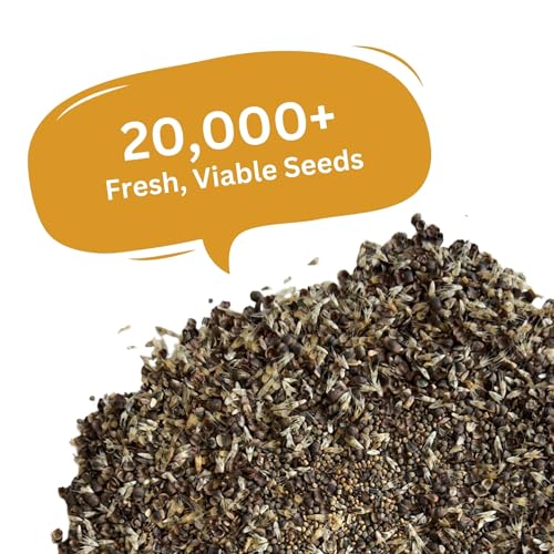 Drought Tolerant Wildflower Mix, 1 oz, 20,000+ Seeds | Extra Large Resealable Packet, Non-GMO Flower Seeds for Dry Climates