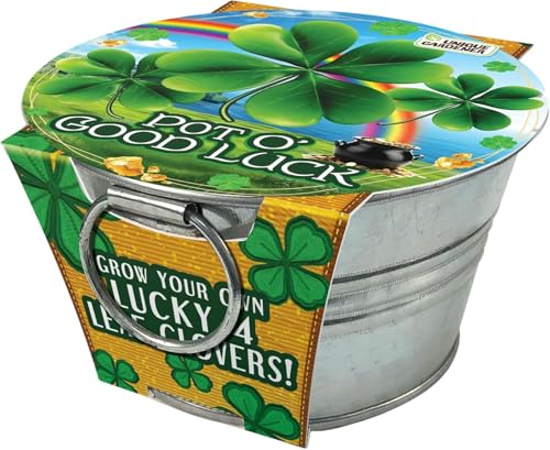 Grow Your Own Shamrocks Plant Seeds 3-Pack, DIY Indoor Succulents and Live Plants for Home or Garden Planting, Pot O' Good Luck - color: Pot O' Good Luck 3-PK