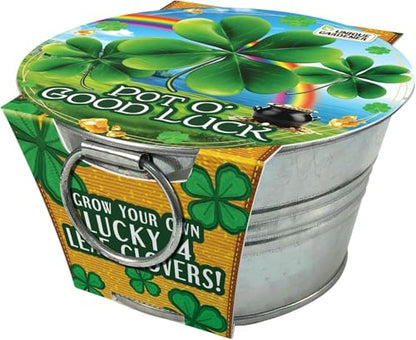 Grow Your Own Shamrocks Plant Seeds 3-Pack, DIY Indoor Succulents and Live Plants for Home or Garden Planting, Pot O' Good Luck - color: Pot O' Good Luck 3-PK
