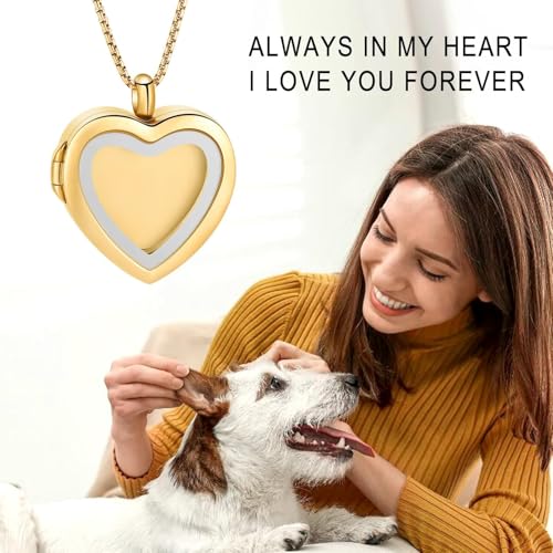 zeqingjw Glass Cremation Jewelry - Round Heart Memorial Urn Necklace for Ashes of Loved One - Stainless Steel Human Pet Dog Cat Keepsake Urn Pendant - color: A-Gold