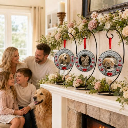 Pet Memorial Photo Ornaments Set of 3, Dog or Cat Remembrance Keepsake Picture Frames with Angel Wings, Paw Prints, Red Hearts, Enameled & Jeweled, Gift Bag Included, 3 Inch Round Holds 2 Inch Photo - size: 3 Standard