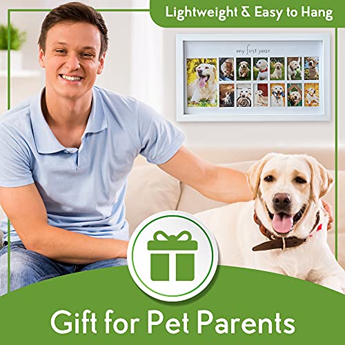 Green Pollywog My First Year Dog Picture Frame, 12-Month - size: Dog First Year Frame - White