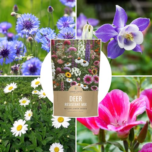 Deer Resistant Wildflower Seed Mixture - Bulk 1 Pound Bag - Over 240,000 Deer Tolerant Seeds - Open Pollinated and Non GMO - size: Bulk 1 Pound