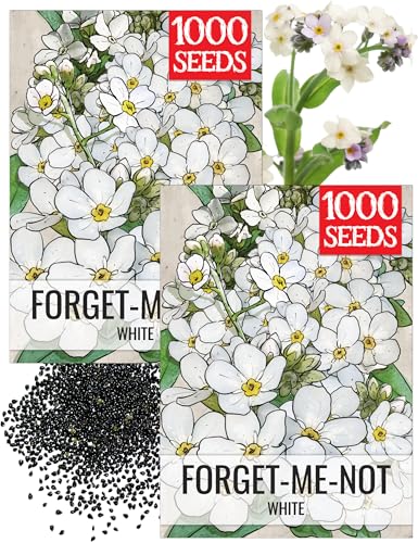 Seed Needs Forget Me Not Seeds to Plant White Flowers Outdoors 2 Packs - size: 2 Packs, style: White FMN