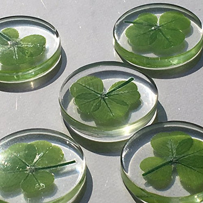 Real Four Leaf Clover Good Luck Pocket Token, Preserved, Preserved-Flowers, 1.25”