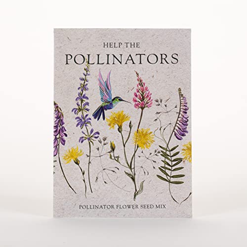 Bentley Seed Co. | Help Pollinators Kraft Hummingbird | 25 Non-GMO, Non-Coated Wildflower Seed Packets for Planting | Flower Seeds | Garden Seed to Grow Live Plants | A Beautiful Gift - style: Help Pollinators Hummingbird