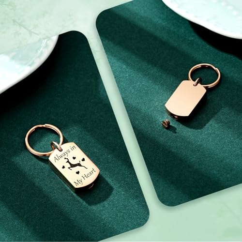 Cremation Jewelry Urn Keychain for Ashes for Women Men Memorial Keepsake Pendant - color: Rosegold