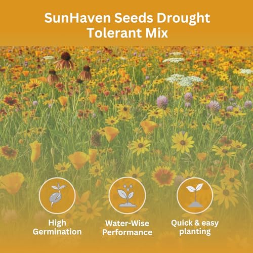 Drought Tolerant Wildflower Mix, 1 oz, 20,000+ Seeds | Extra Large Resealable Packet, Non-GMO Flower Seeds for Dry Climates