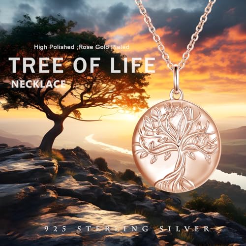 TUGHRA Mother's Day Gifts Gold Locket Necklaces for Women, 925 Sterling Silver Heart Photo Lockets Memorial Keepsake Jewelry Gift for Mom, Wife, Daughter - style: 0372-Rose Gold