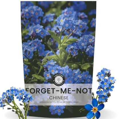 Chinese Forget Me Not – 18,000 Seeds for Planting – 2026 Season – 4 Ounces - size: 4 oz