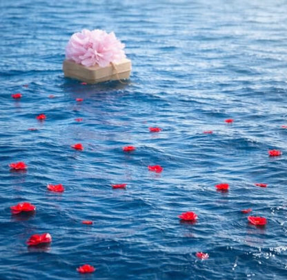 Biodegradable Water Burial Urn Kit with Pink Flower – Cruise Approved Ocean Ashes Scattering Ceremony with Certificate (3 Sizes) (Medium) - size: Medium