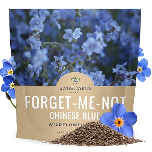 Chinese Forget Me Not Wildflower Seeds - Bulk 1 Ounce Packet - Over 5,500 Open Pollinated Seeds - Blue Cynoglossum amabile - size: 1 Ounce Pouch