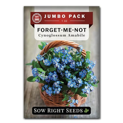 Sow Right Seeds - Bulk Chinese Forget-Me-Not Seed for Planting Jumbo Pack | Plant annual non-GMO heirloom for outdoor home garden. Blue celebration of life memorial flowers for pollinator gardening.