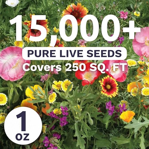 Southwest Regional Mix - Large 1 Ounce Packet - 15,000 Flower Seeds for Planting - Wildflower Mix - size: 1 Ounce (Pack of 1), style: Southwest Regional Mix
