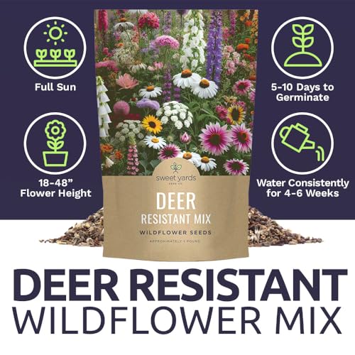 Deer Resistant Wildflower Seed Mixture - Bulk 1 Pound Bag - Over 240,000 Deer Tolerant Seeds - Open Pollinated and Non GMO - size: Bulk 1 Pound
