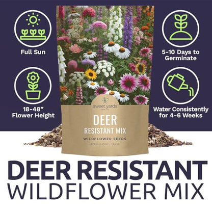 Deer Resistant Wildflower Seed Mixture - Bulk 1 Pound Bag - Over 240,000 Deer Tolerant Seeds - Open Pollinated and Non GMO - size: Bulk 1 Pound