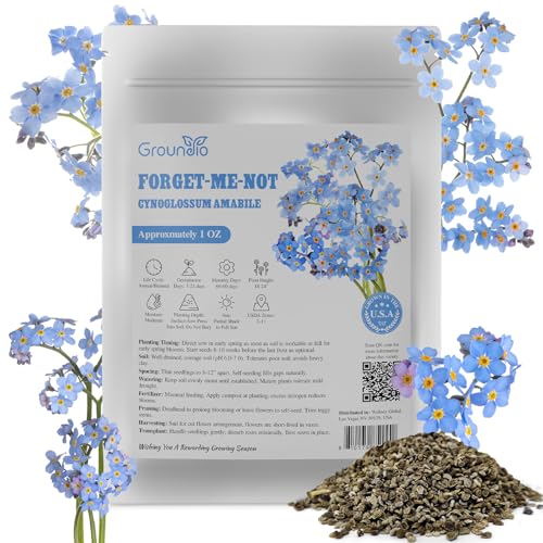 Chinese Forget Me Not Seeds, Bulk 1 Ounce 6000+ Wildflower Seeds for Outdoor Planting, Non-GMO | Open Pollinated |Heirloom | USDA Zones 2-11