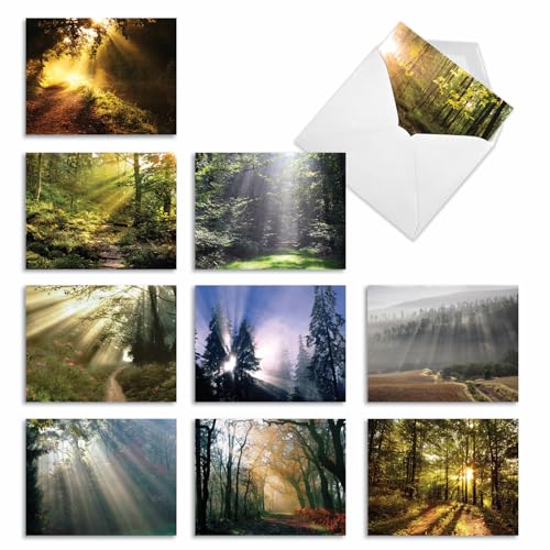 The Best Card Company - Box of 10 All Occasion Cards Blank (4 x 5.12 Inch) - Scenic Landscape Cards Assorted - Shining Through M1735BN - style: Shining Through