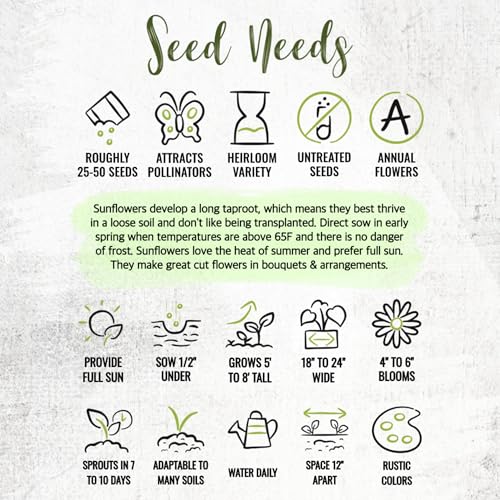 Seed Needs Sunflower Seed Packet Gift Favors for Weddings & Bridal Showers - size: 30 Packs, style: FAV-006