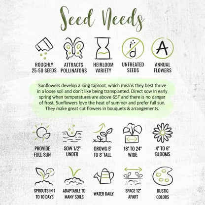 Seed Needs Sunflower Seed Packet Gift Favors for Weddings & Bridal Showers - size: 30 Packs, style: FAV-002