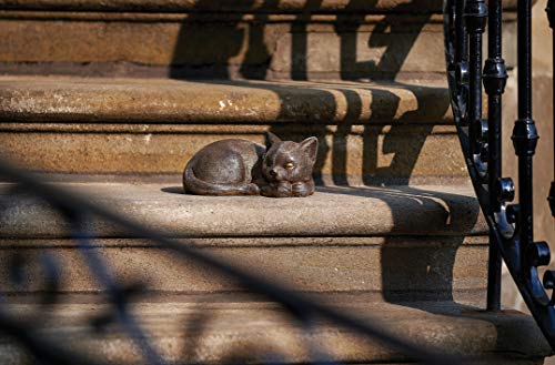 Roman Garden - Bronze Sleeping Cat Statue, 3.5H, Collection, Resin and Stone, Decorative, Gift, Home Outdoor Decor, Durable, Long Lasting