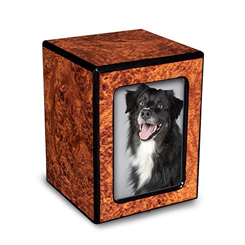 Unforgettable Urns-Pet Photo Urn with Picture for Dog Ashes-Small Pet Urn for Ashes-Cremation Box for Adult Male-Memorial Gifts for Cats and Dogs - Wooden Burl Urn (up to 46 lb/46 Cubic in) - color: Burl, size: Photo Urn (46 cu. in)
